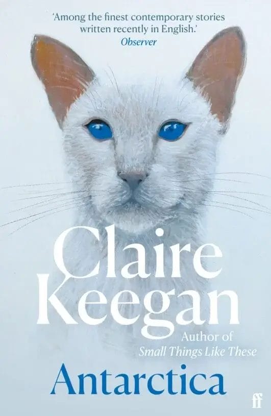 Book cover for "Antarctica" by Claire Keegan which sees a white cat with blue eyes.