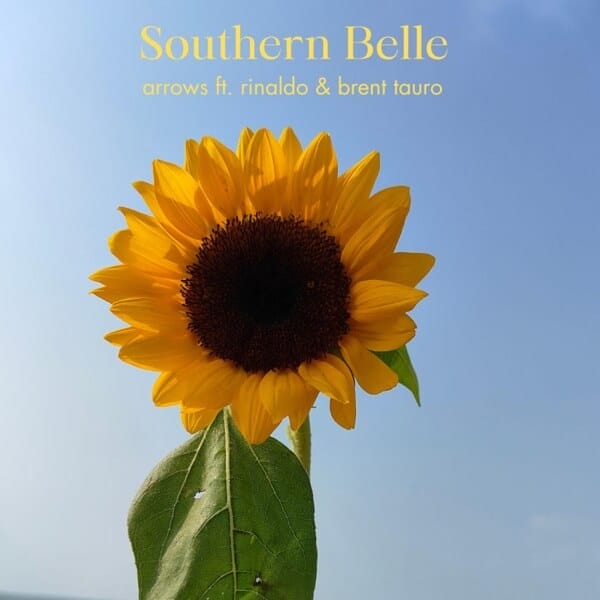 "Southern Belle": Arrows Reveal Heartfelt Acoustic Ballad Featuring rinaldo and Brent Tauro 2 Single cover artwork for "Southern Belle" by Arrows featuring rinaldo and Brent Tauro which sees an image of a sunflower displayed against a blue sky.