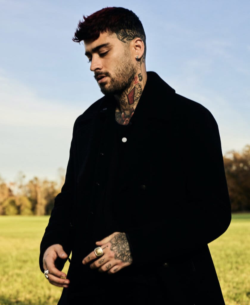 "Alienated": ZAYN Unveils an Intimate and Captivating Rare Live Performance of His New Single 18 Press photo for "What I Am" which sees ZAYN in the middle of a field, wearing a black coat.