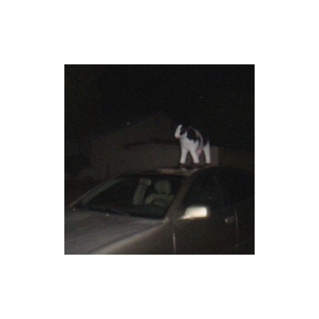 SAMSARA. Unleashes New Single "how do you say my name?" and Plans to Rock the Northeast 12 Official single cover artwork for "how do you say my name?" which showcases a black and white cat standing on the top of a car.