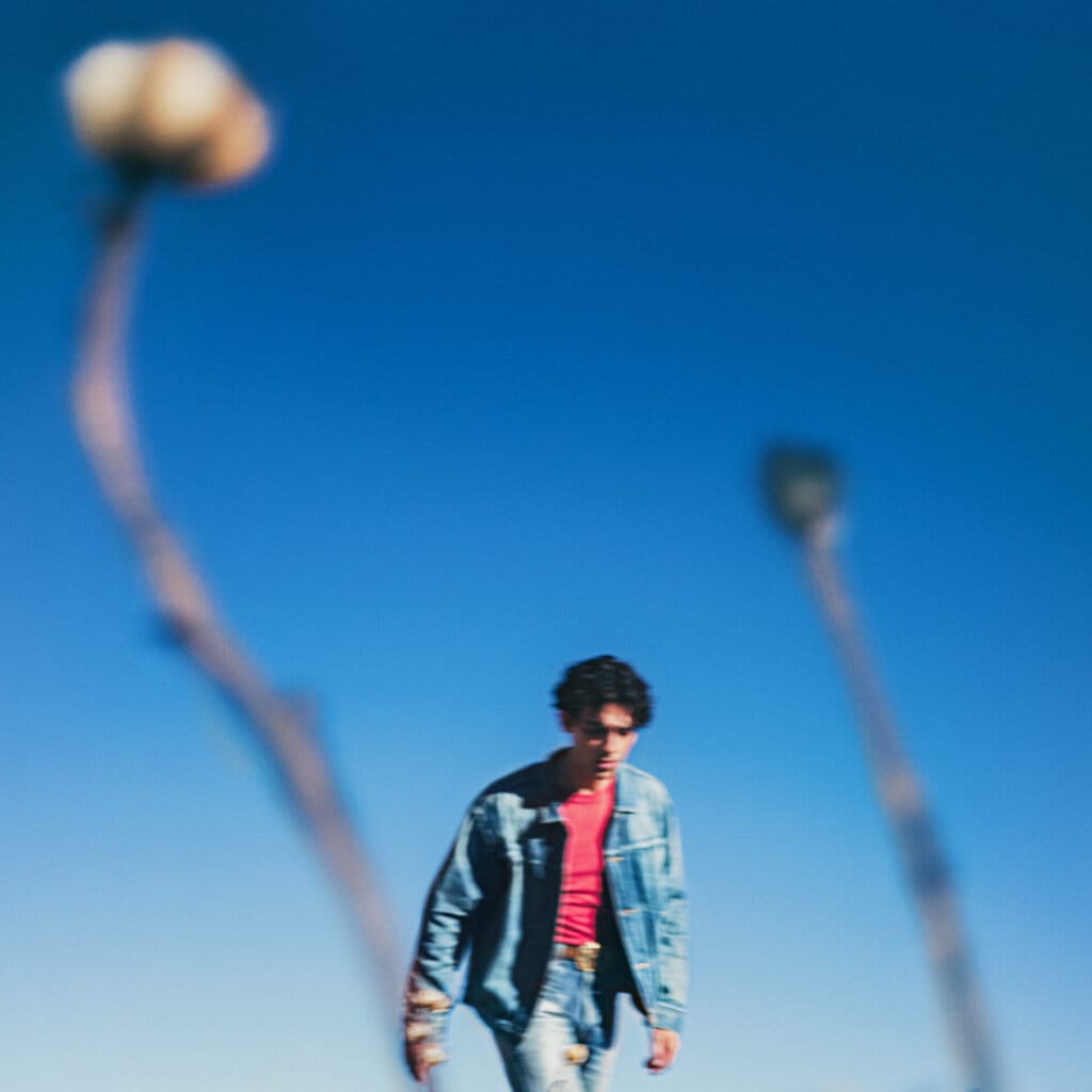 Official single cover artwork for "Work It Out" which sees Joe Jonas wearing blue denim jeans and a matching denim jacket with a ret tio and a brown belt, walking with a bright blue sky behind him and two green-stemmed flowers rising up in the foreground.