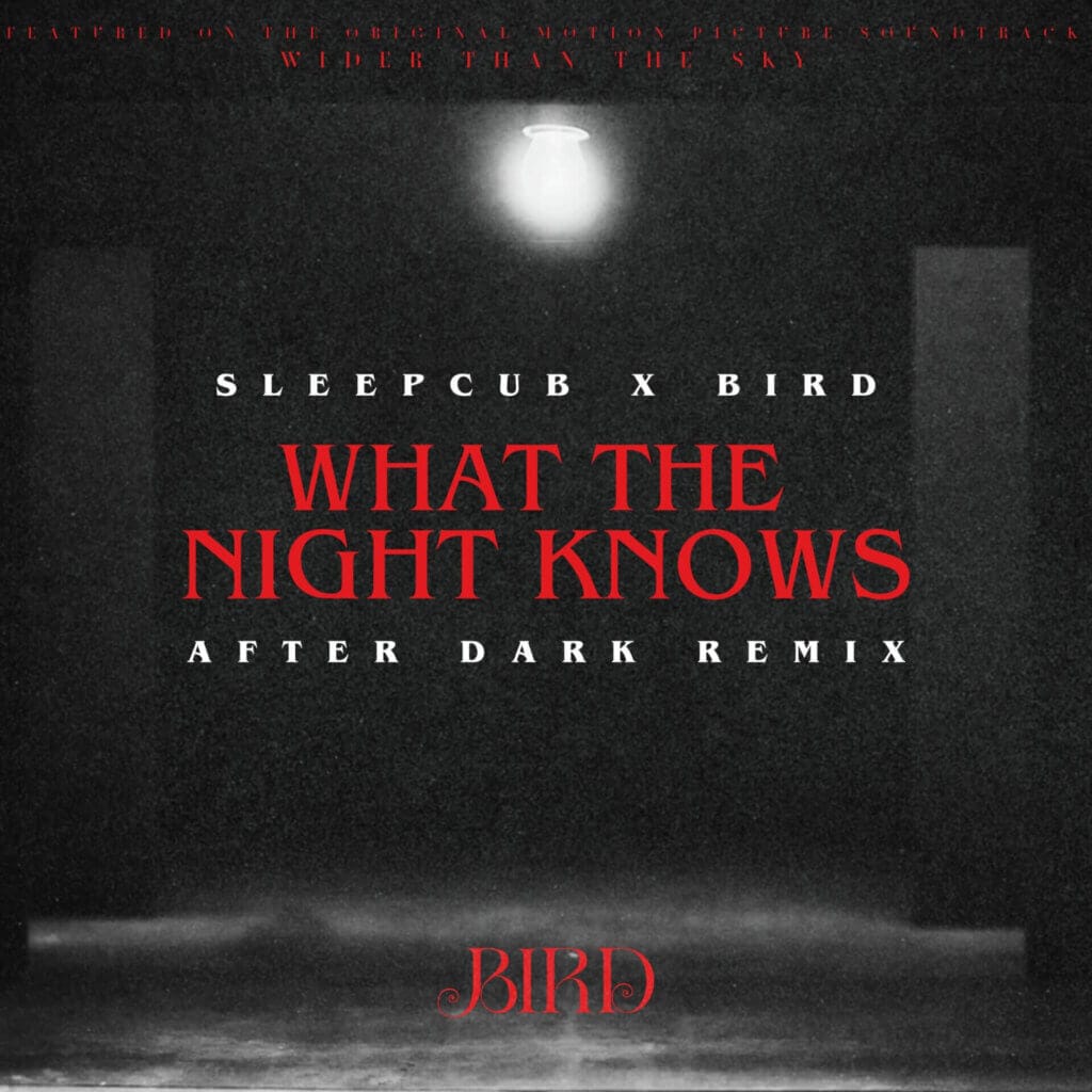 Bird Unveils Haunting "After Dark Remix" of "What The Night Knows" in Collaboration with Sleepcub 19 Official single cover artwork for the "After Dark Remix" for "What The Night Knows" by Bird & Sleepcub, which shows a dark room with a hanging lightbulb with the title and artist names floating in the middle.