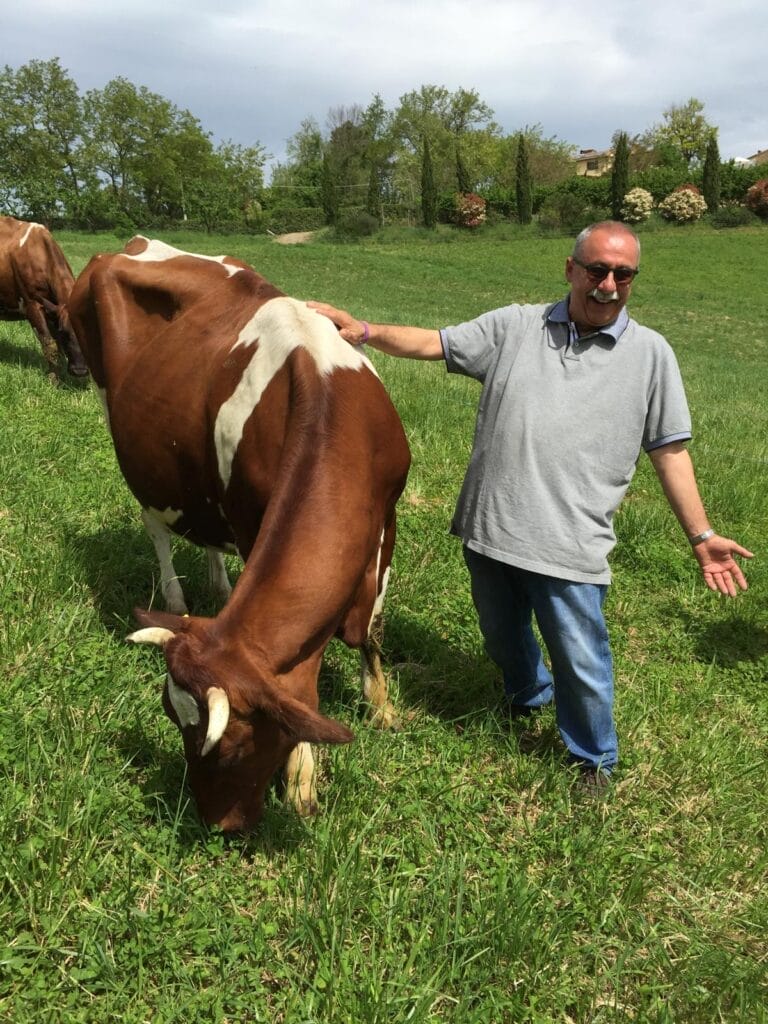 Sergio Dondoli posing with a cow in a grass field.