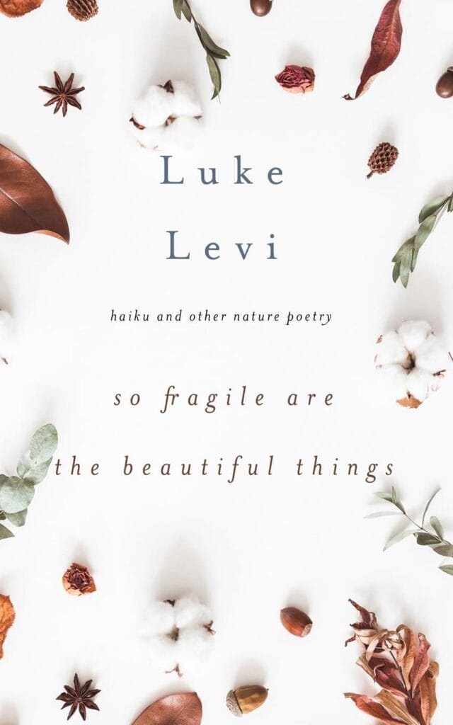 Official book cover for "So Fragile Are The Beautiful Things" by Luke Levi which sees an arrangement of autumn leaves, acorns, and cotton surrounding text reading "Luke Levi, haiku and other nature poetry, so fragile are the beautiful things" on a white background. The tone is delicate and serene.