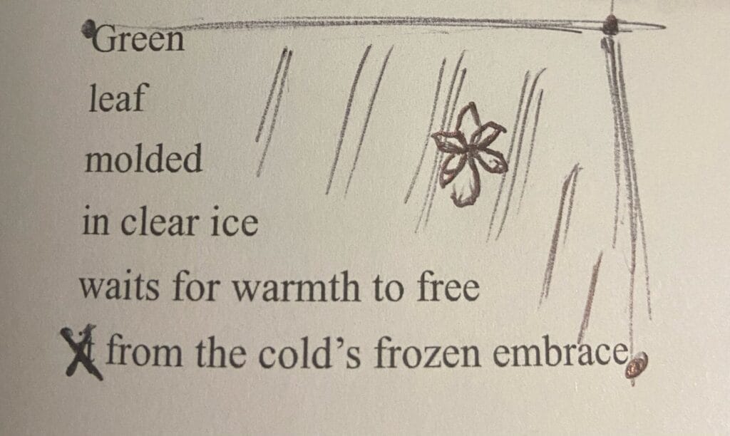 Image of Luke Levi's poem "Frozen Leaf" with drawings and annotations