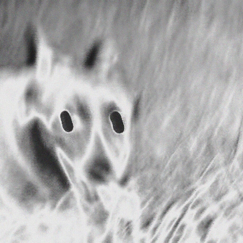 Official single cover artwork for "Flaunt It" by Bryan Chase featuring Sik-K and Camo. It shows an inverted image of an animal with large, dark eyes and soft fur texture, looking a bit like a dog, set against a blurred background. It conveys an eerie, ghostly ambiance.